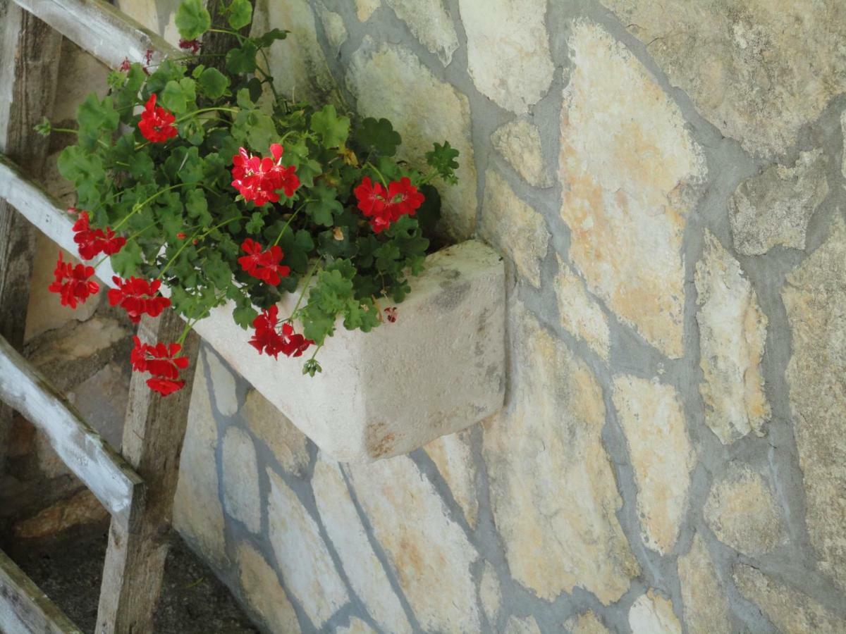 Apartments Ema Sali Εξωτερικό φωτογραφία